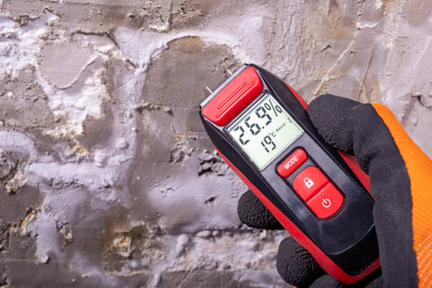 Williamstown, WV Mold Removal Company