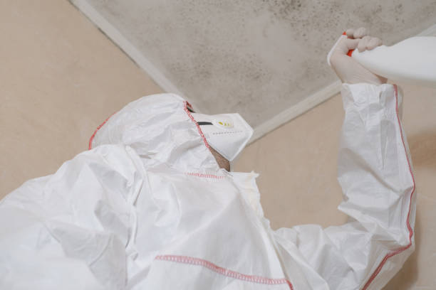 Best Office Mold Removal Services  in Williamstown, WV